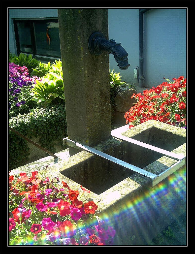 August Flagged by Thunderstorm Germany burning street statues - Master Habitat Rhine Valley Photography 2013 Alter Wasserbrunnen by jettcom