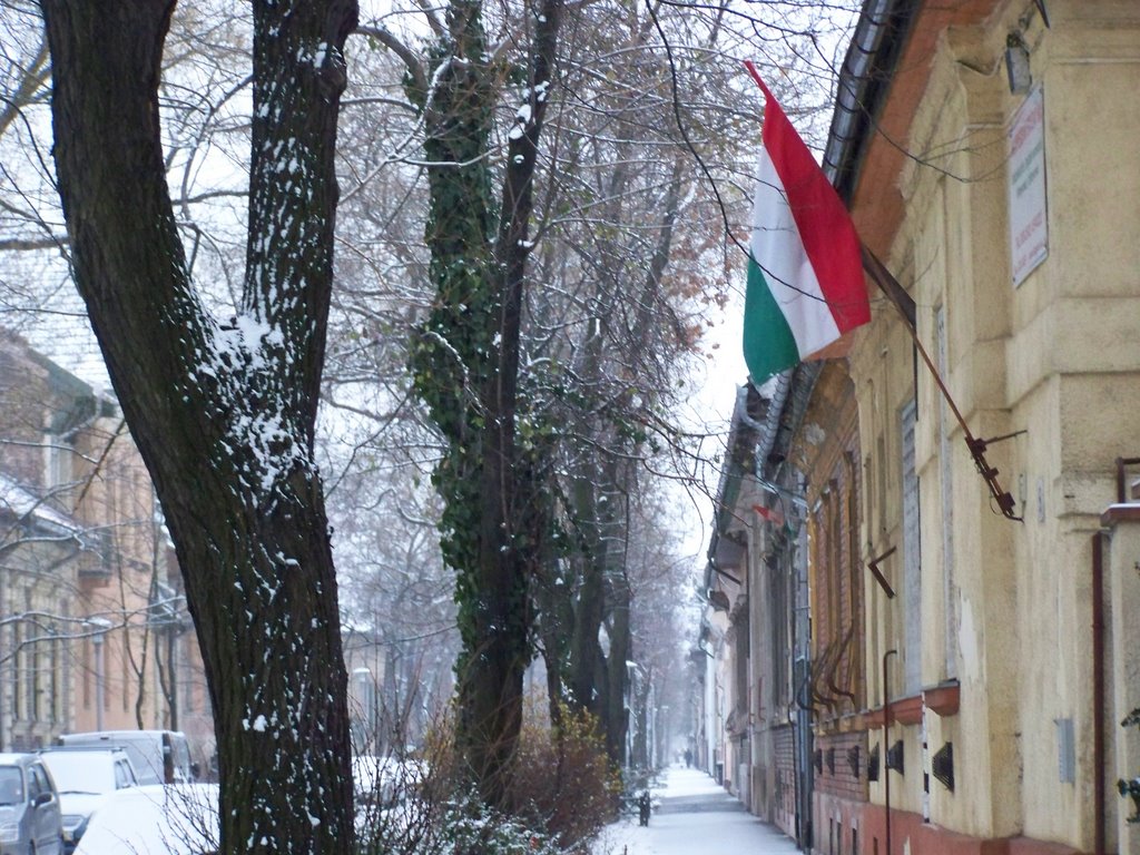 Budapest Tisztviselőtelep Bíró L. u. by L.Márti