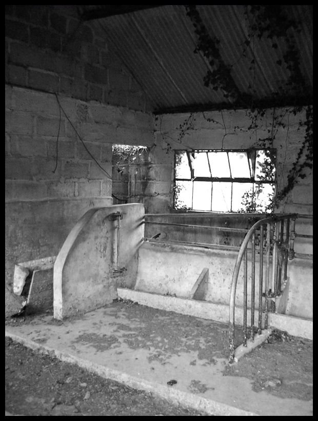 Derelict Wales - Rheidol Valley Farm by simon_patrick