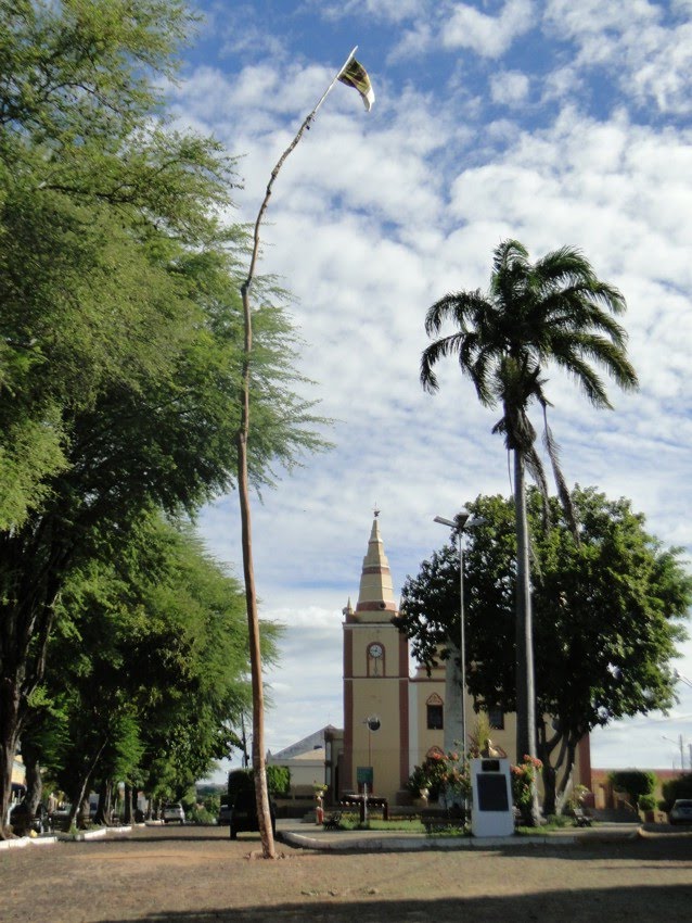 Pau do Santo Antônio, Barbalha/CE by Rommel Girão