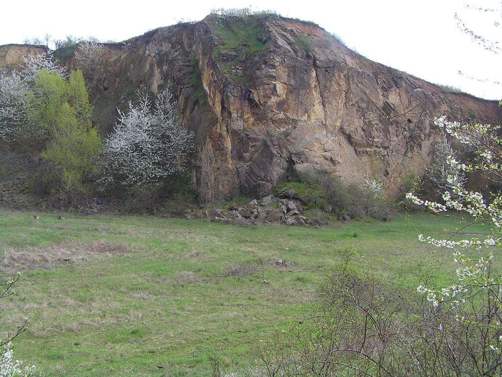 Tarpa Szőlő-hegy by G & G Plus Bt.