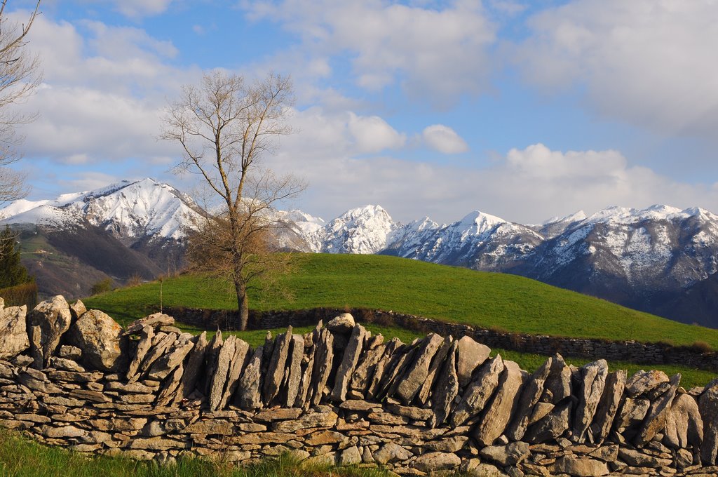 Località Finco di S.Bortolo delle Montagne by Gianni Dalla Costa