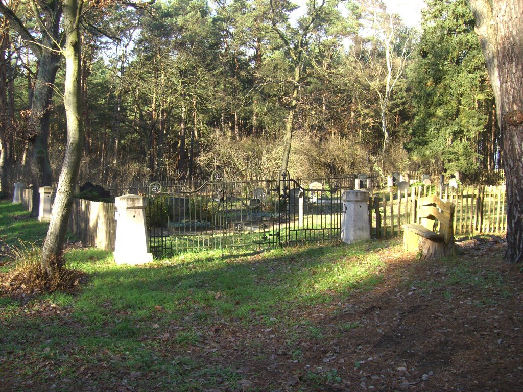 Steinfurth, Alter Friedhof 2007 by Martina Rohde