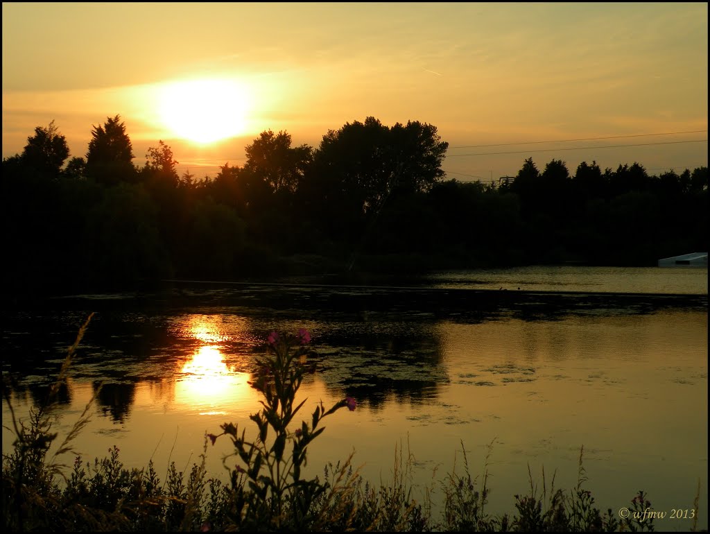 Basildon, sunset by © wfmw