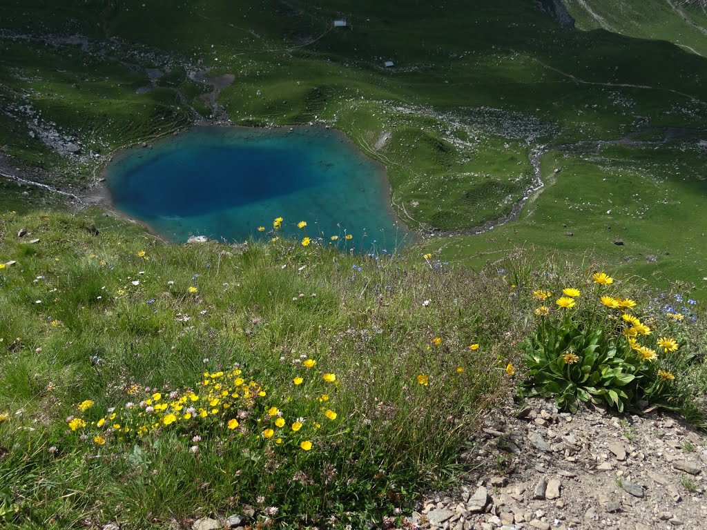 Little emerald pond near Hörnlihütte Arosa by baba49