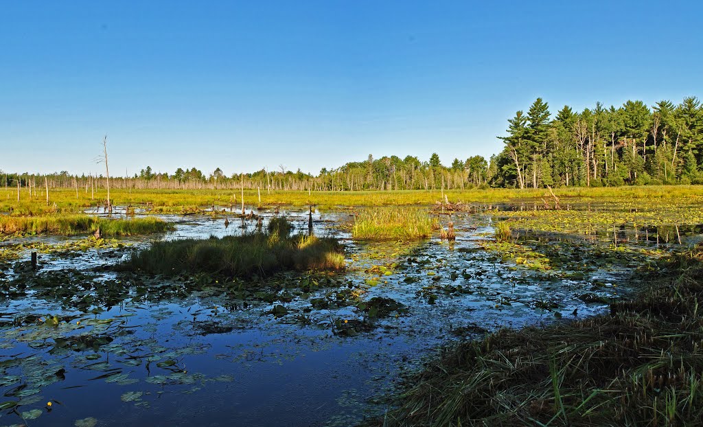 Coyote Creek Impoundment by Aaron Carlson