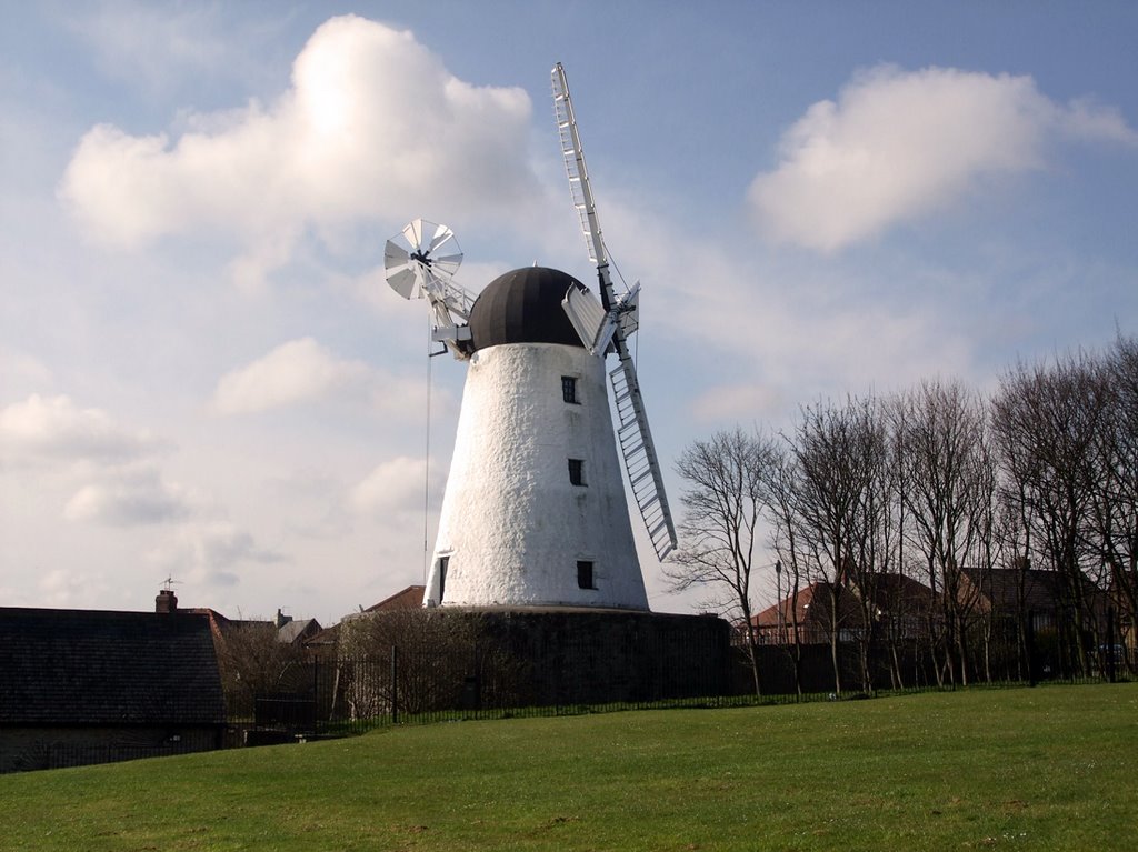 Fulwell Mill by Derek Chapman