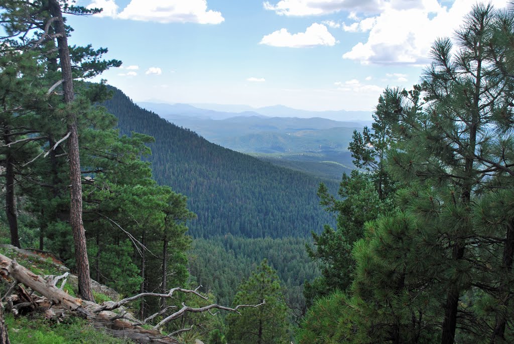 Mogollon Rim, Apache-Sitgreaves National Forest, AZ by bobbudi