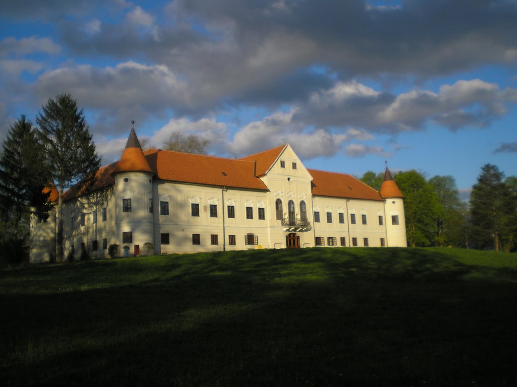 Lužnica-Dvorac by Marcel Mlinarić - CROATIA