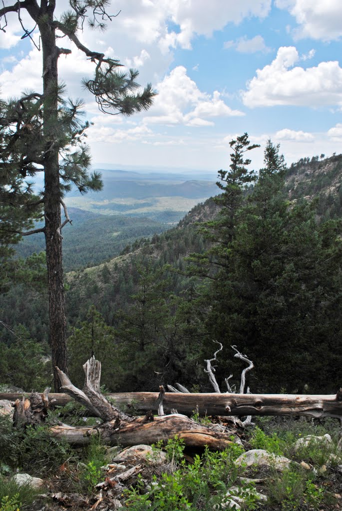 Mogollon Rim, Apache-Sitgreaves National Forest, AZ by bobbudi