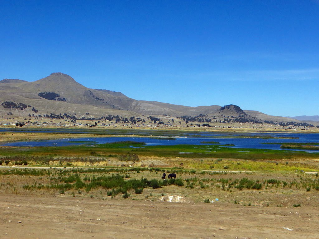 Fields by Lake Titicaca by CarmelH