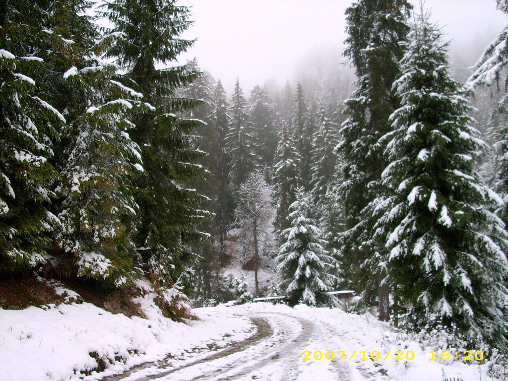 Budureasa, Romania by heteigabor