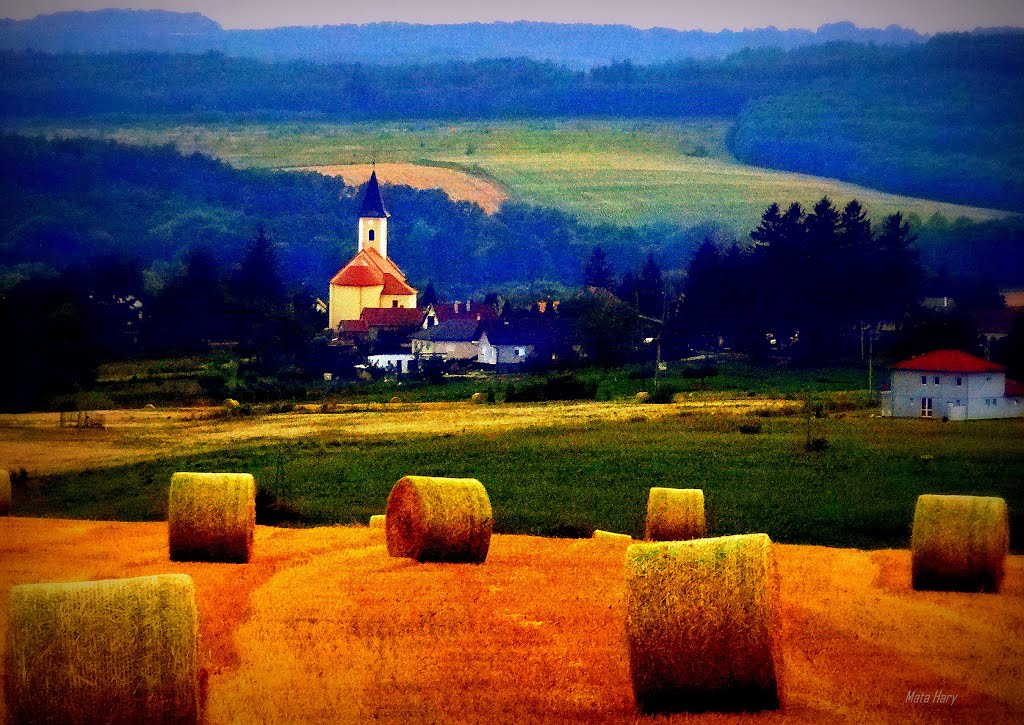 Summer evening serenade - Nyár esti szerenád by Mata Hary