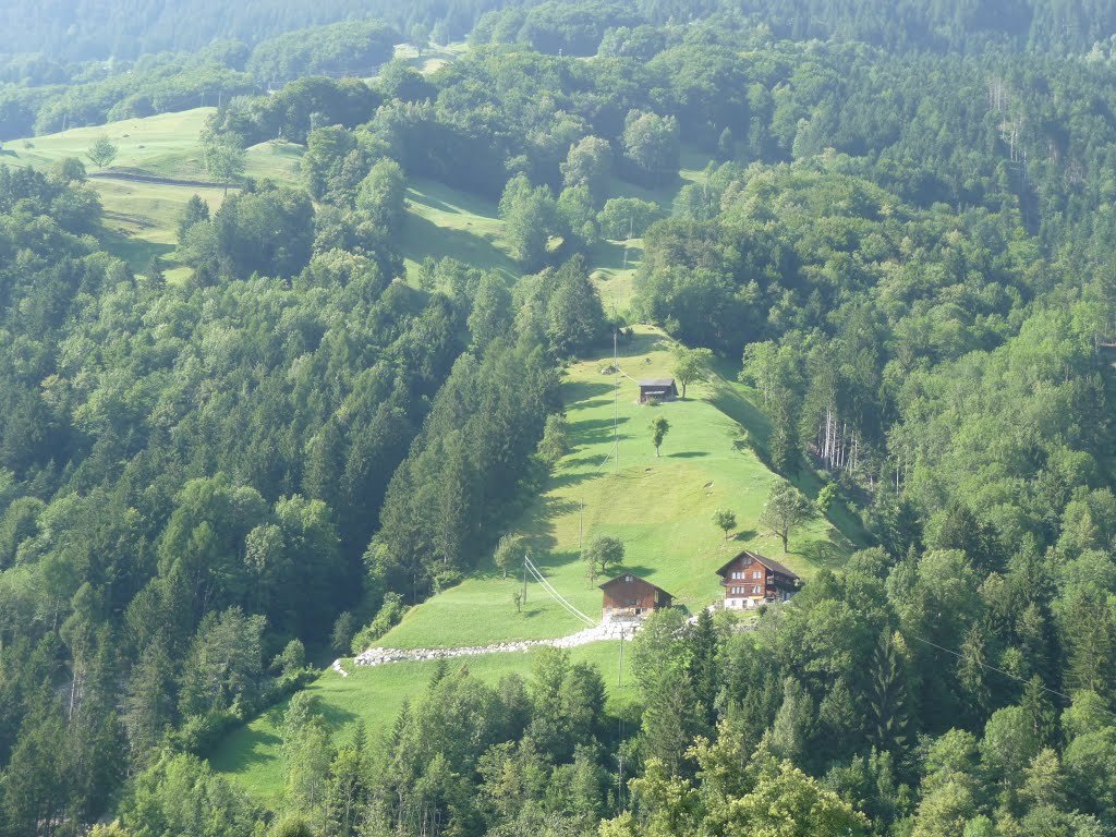 Südhang bei Bürglen UR by bienenritter