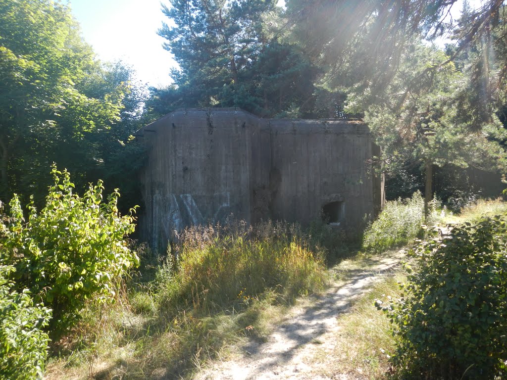 Sovietų armijos apleistas bunkeris iš 1941 metų prie Molotovo linijos / Soviet army abandoned bunker of 1941 near Molotov line /2013-08-03 by Aurimas Nausėda