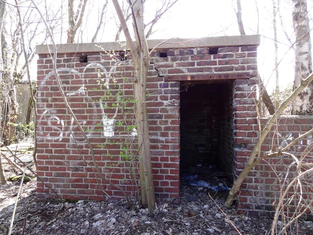 Ruine Zeche Lothringen 3 by knips-bis-zum-erbrechen-horst