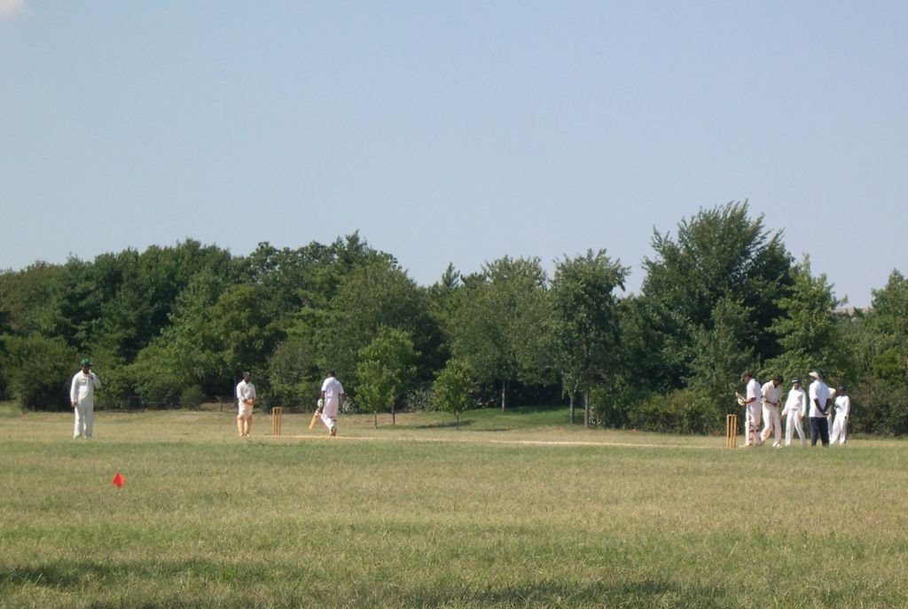 Sunday Cricket by Cinza