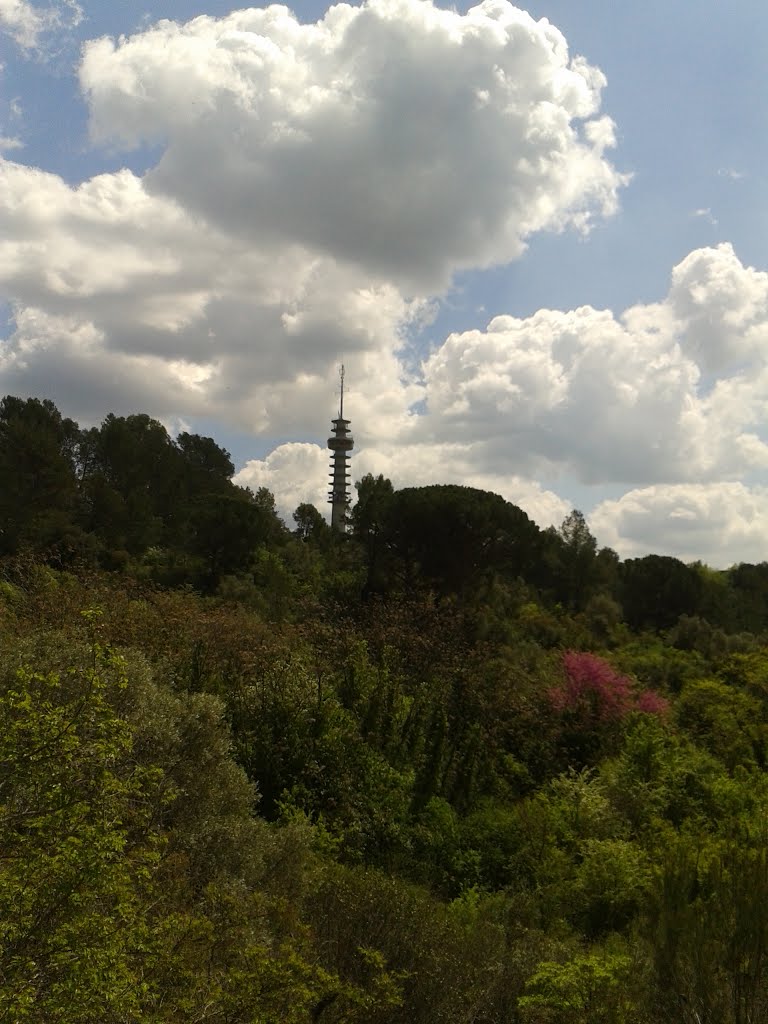 Colors a la ciutat de Girona by klimmanet