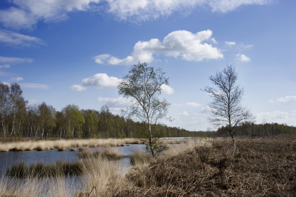 Deurnsche Peel, Griendtsveen-Helenaveen by Wim Janssen