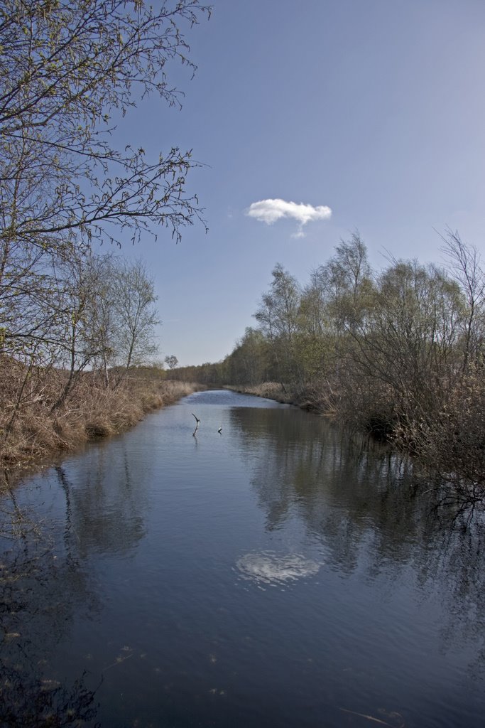 One little cloud reflecting, Deurnsche Peel, Griendtsveen-Helenaveen by Wim Janssen