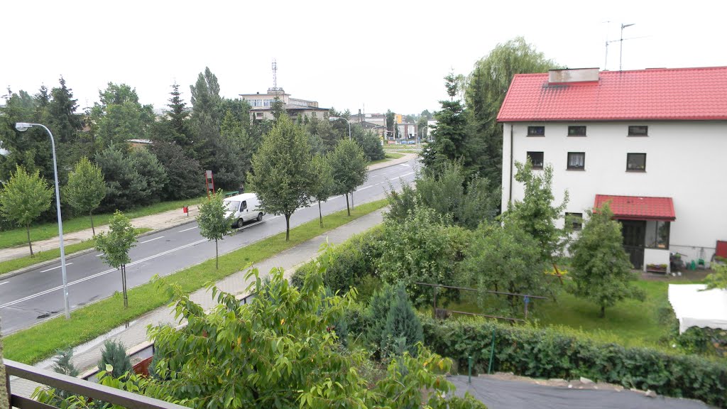 Piotrków Trybunalski, Polska / Пётркув-Трыбунальский, Польша by Maksim Zhuchenko