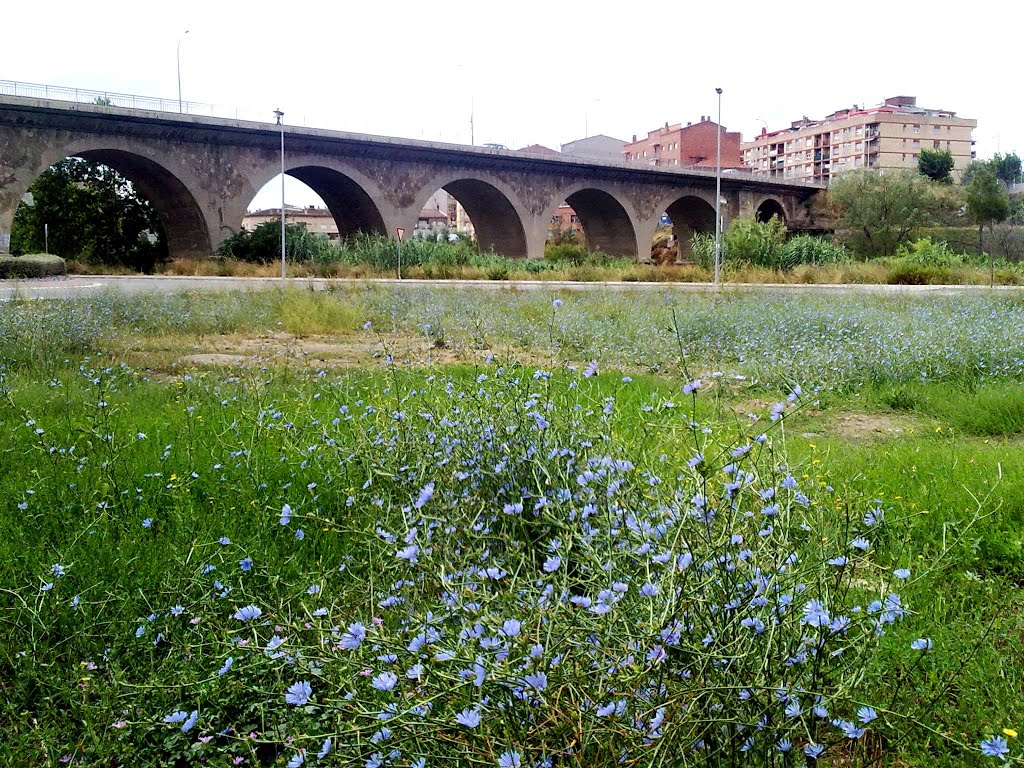 Pont carretera de Valls (Montbui) by Emili Castells