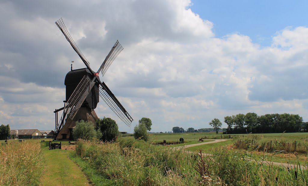 Nederland - Dussen - Noordeveldse Molen - 1795 by Henny  Brouwers