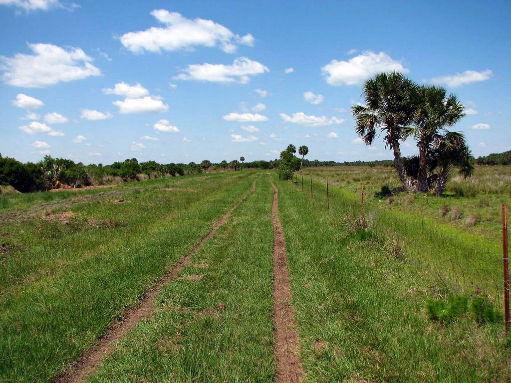 Trail/Road Through The Pastures by Tom Choma