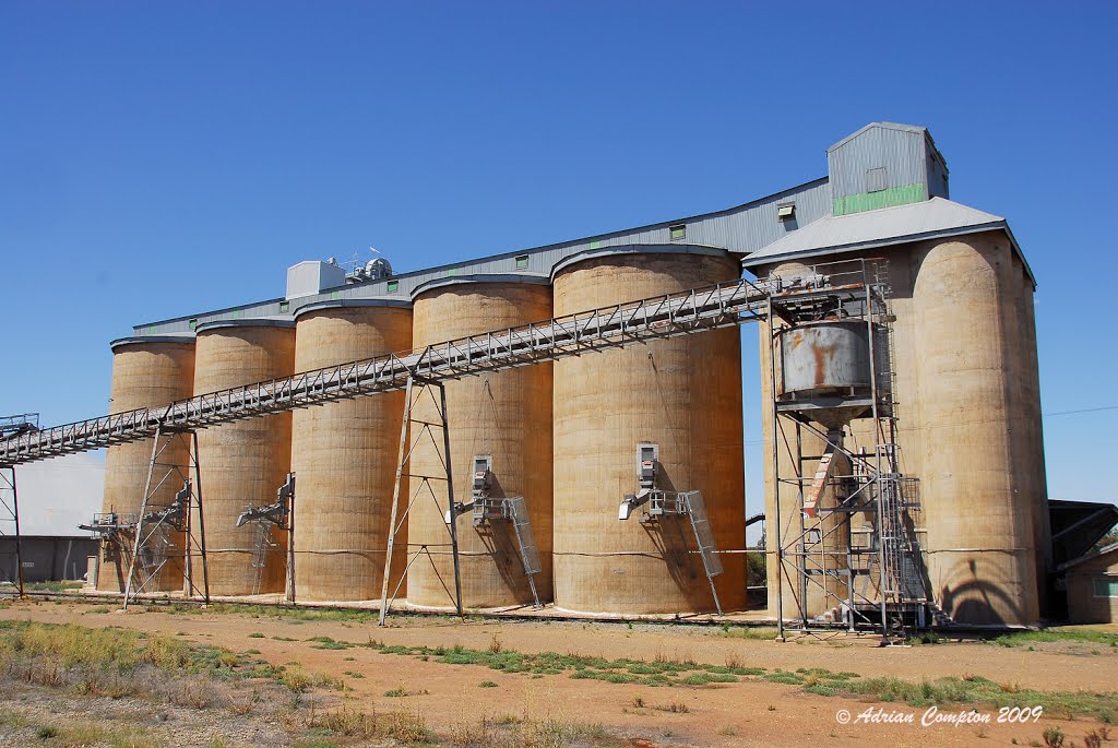 Barmedman grain storage silos, Jan 2009. by Adrian Compton