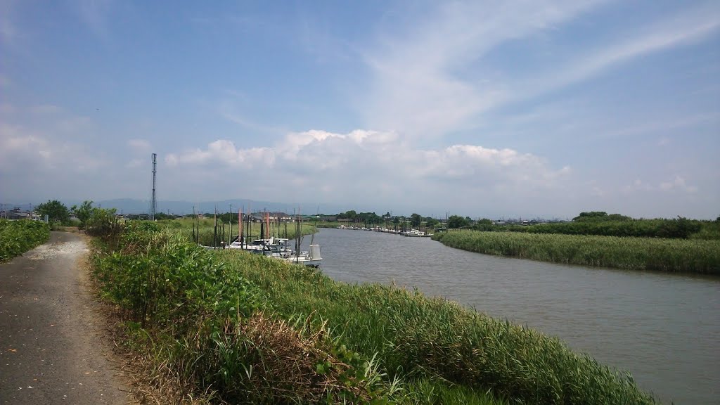 佐賀市 嘉瀬町 - 本庄江川 2013.8 (Saga city - Honjoue River) by zwei0083