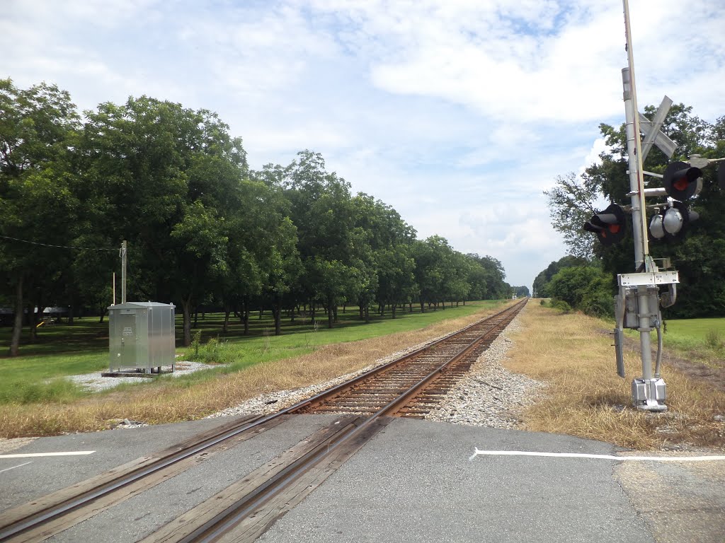 Clifford St, Brinson RR SouthEast bound by mriveraz