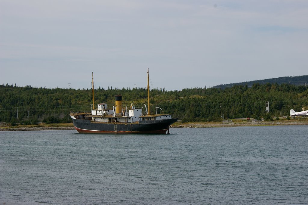 Ship stuck in harbour, Harbour Grace, Newfoundland by Microjamm