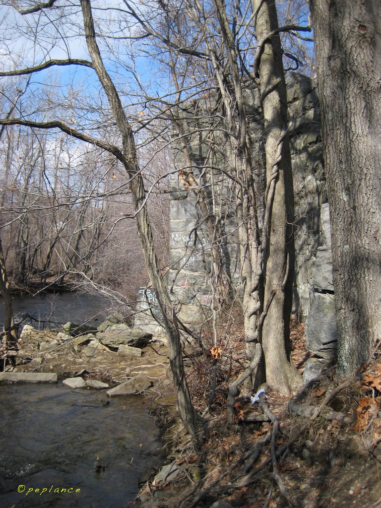 Remnant of Old Railroad Trellis by peplance