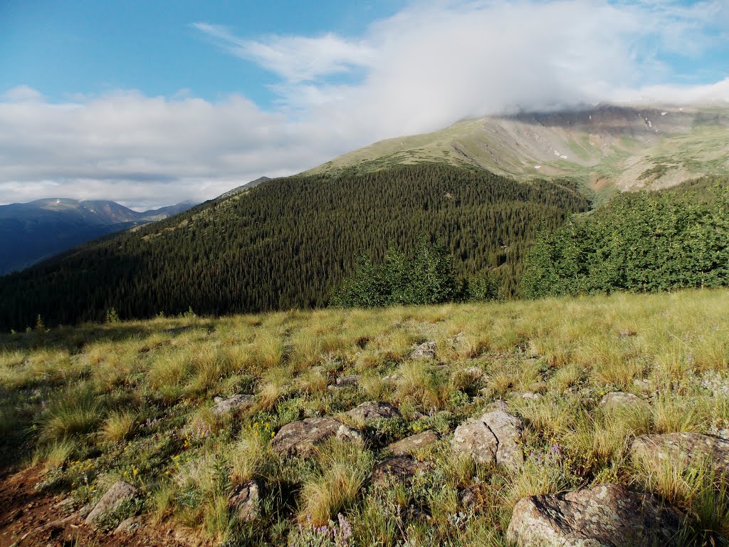 Trail to Mt. Elbert by Jordan Lofthouse