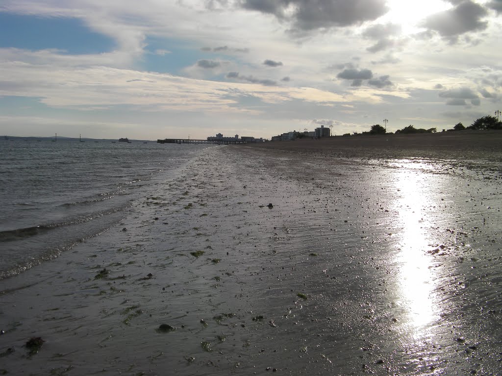 Southsea Pier from the beach by Professor Mungleton