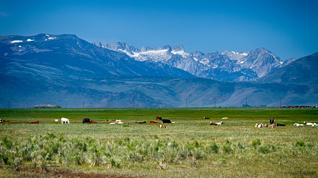 Pasture by the Mountains by vkalathil