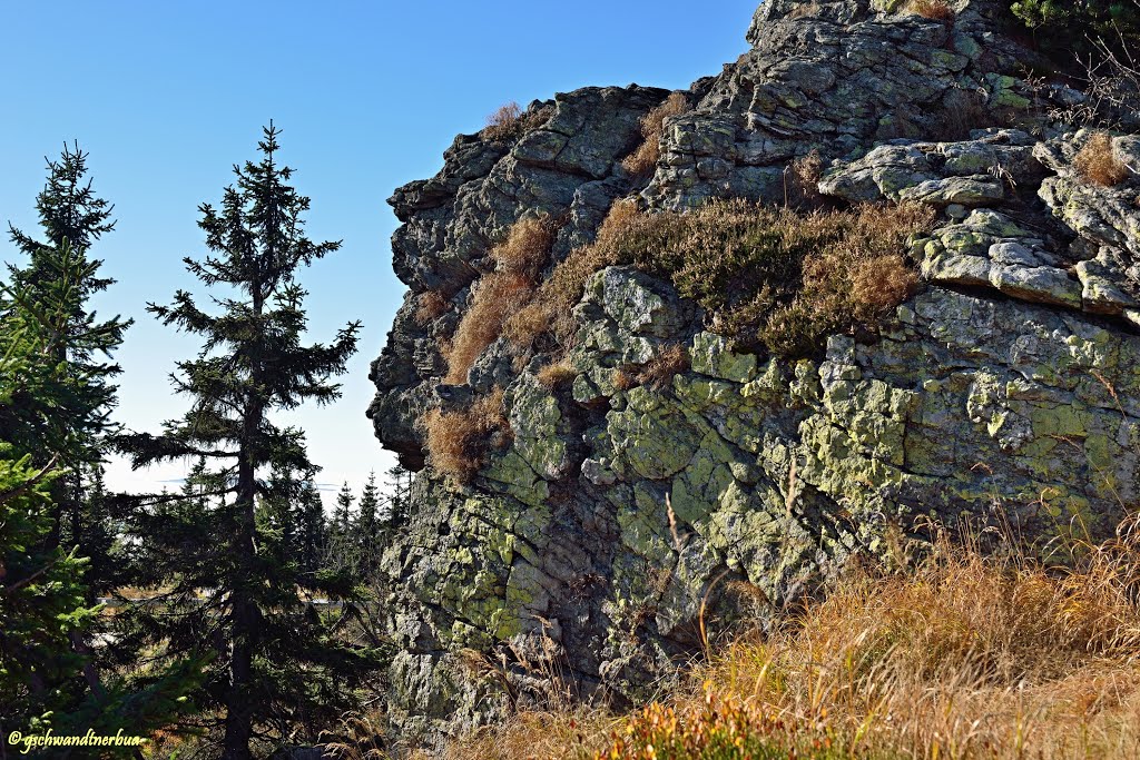 Am Großen Arber im Bayerischen Wald by gschwandtnerbua