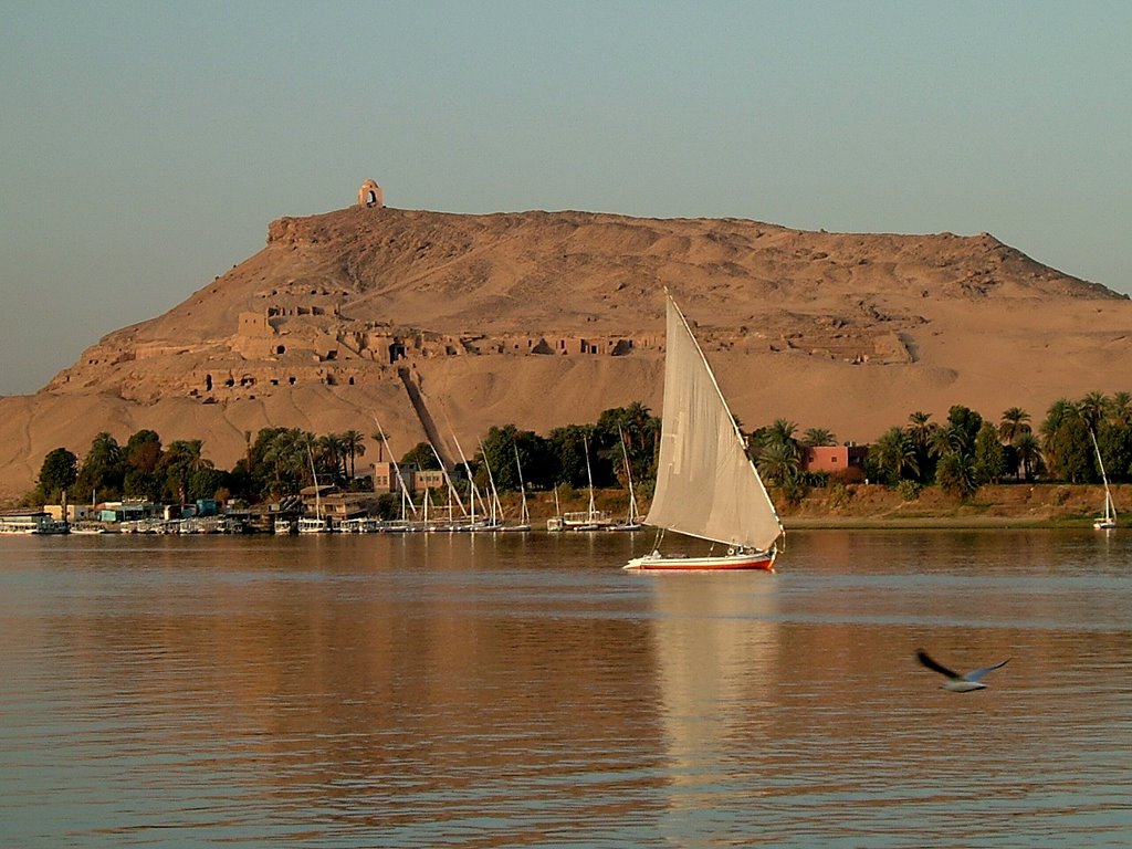 Sheyakhah Oula, Qism Aswan, Aswan Governorate, Egypt by gouti74