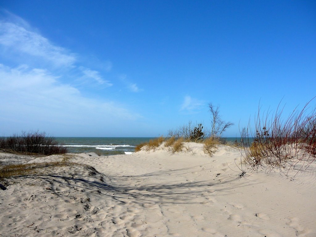 Sandroad to beach by Erkki Jauhiainen