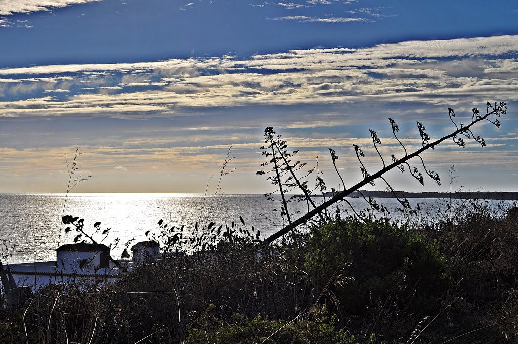 Desde el mirador by carlos mp