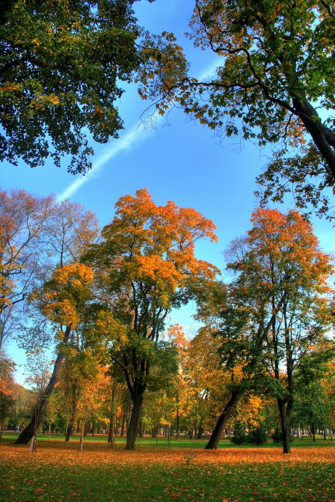 Park near Middle harbour by Andan