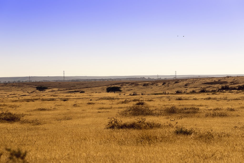 Steppe by Alexey Goral