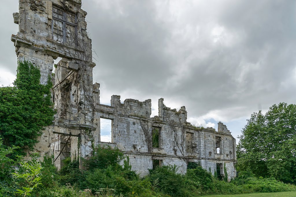 Vestiges du château Plessis de Roye by Berpiet