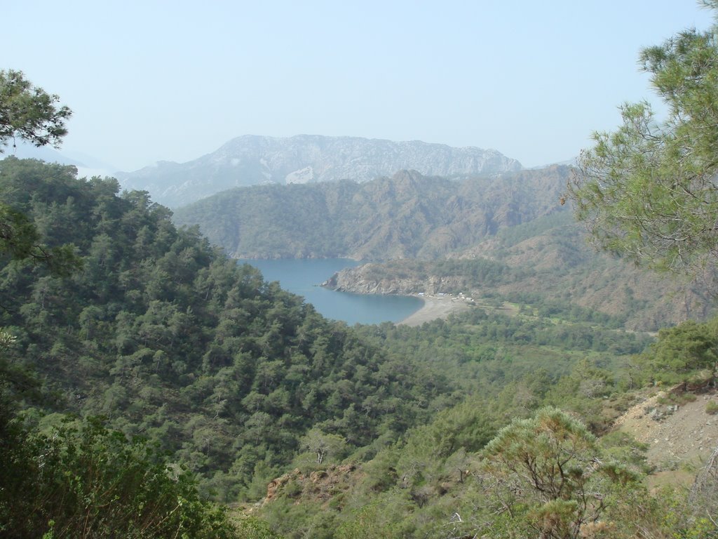 07980 Ulupınar/Kemer/Antalya, Turkey by gkunt