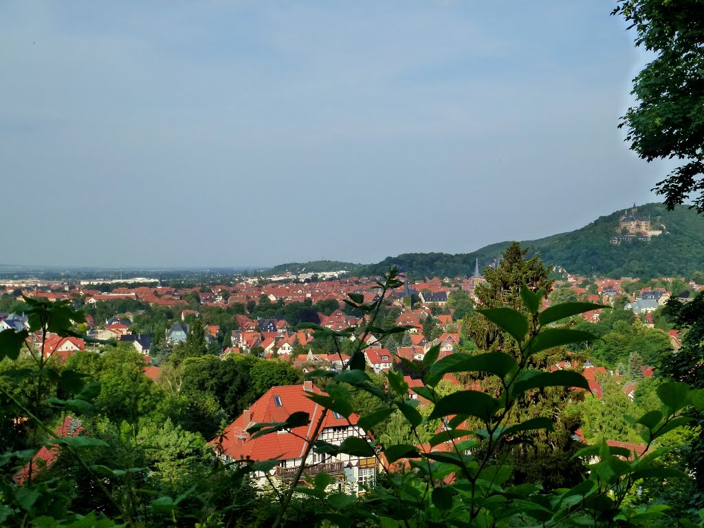 Blick auf Wernigerode by Gerda38