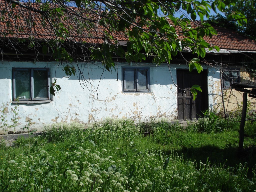 Sfântu Gheorghe, Romania by pimcatus