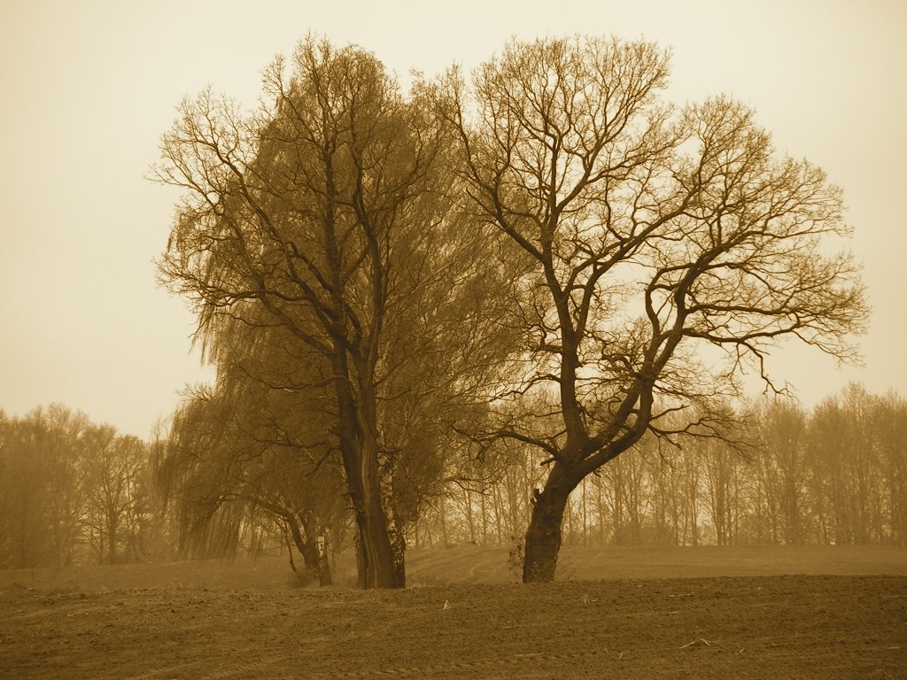 Stanowice, Poland by Hubi*