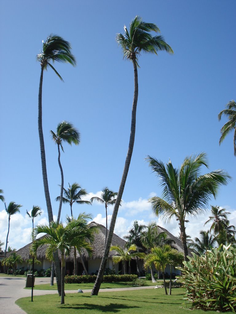 Punta cana princess, restaurant by algerunz