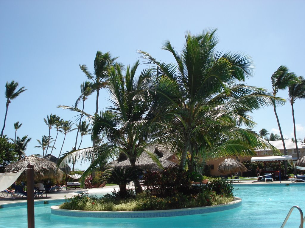 Hotel punta cana princess, pool by algerunz