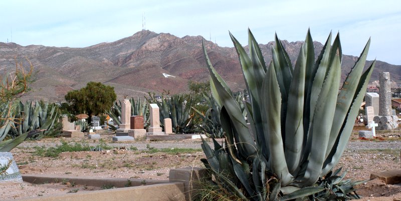 Concordia Cemetery El Paso, Tx. by Xonid1